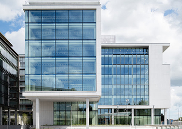 Google Central Park Lepardstown-img1